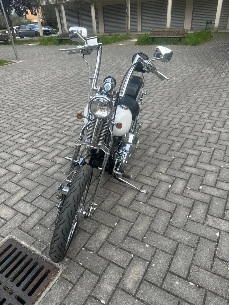 Harley-Davidson 1340 Springer (1990 - 98) - FXSTS (5)