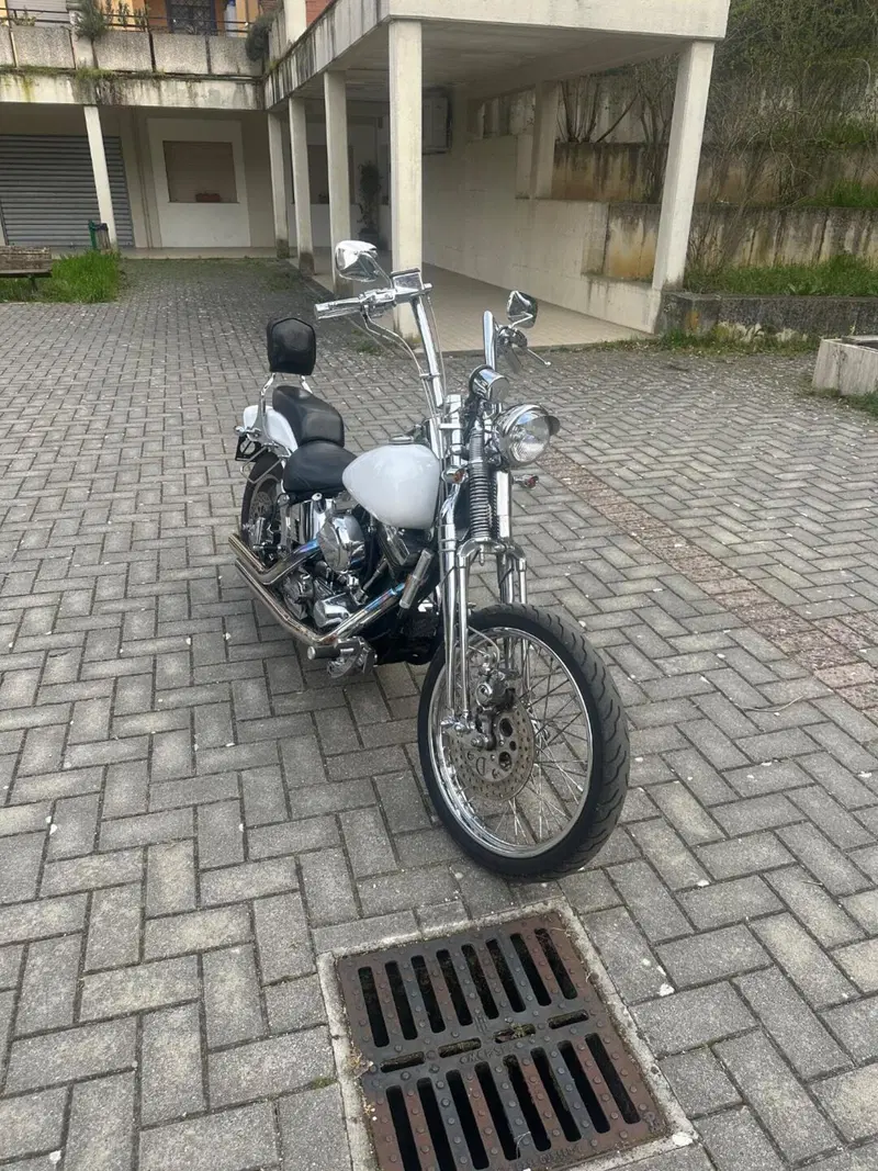Harley-Davidson 1340 Springer (1990 - 98) - FXSTS (6)