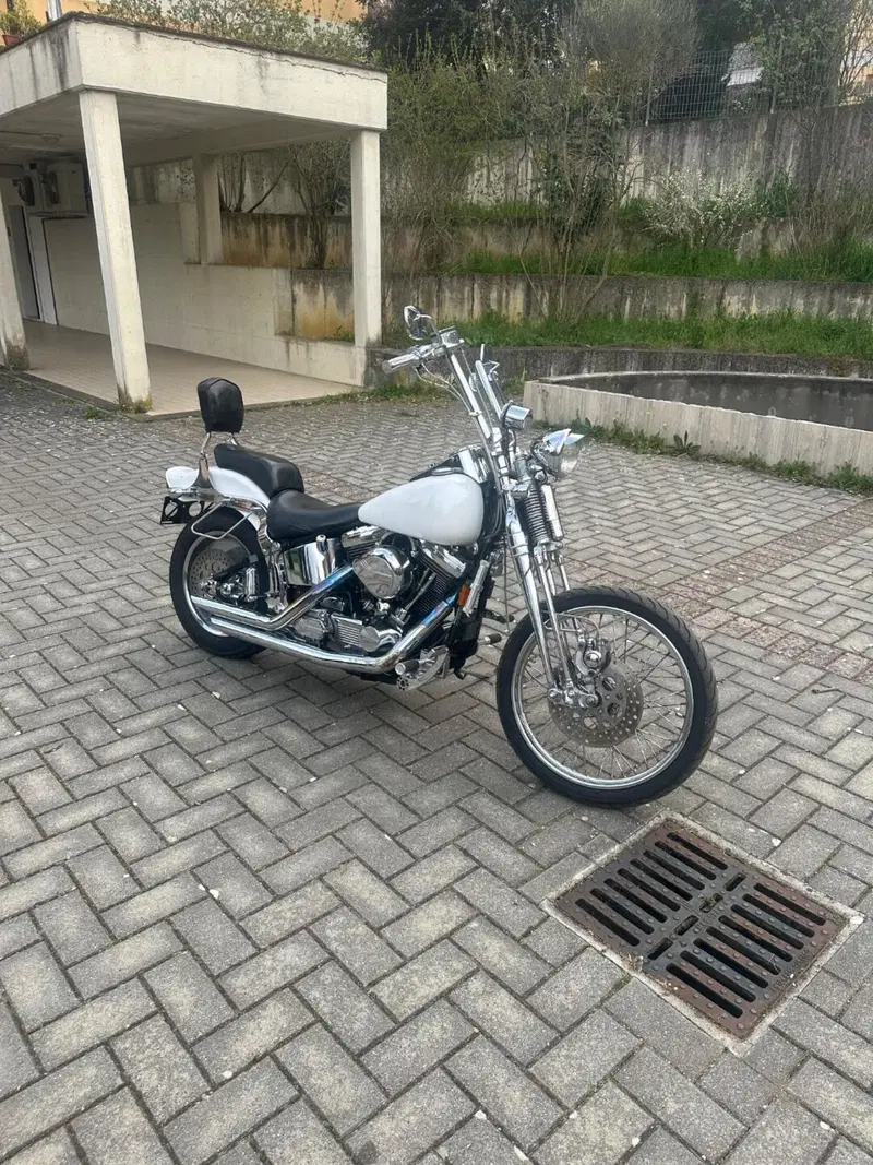 Harley-Davidson 1340 Springer (1990 - 98) - FXSTS (7)