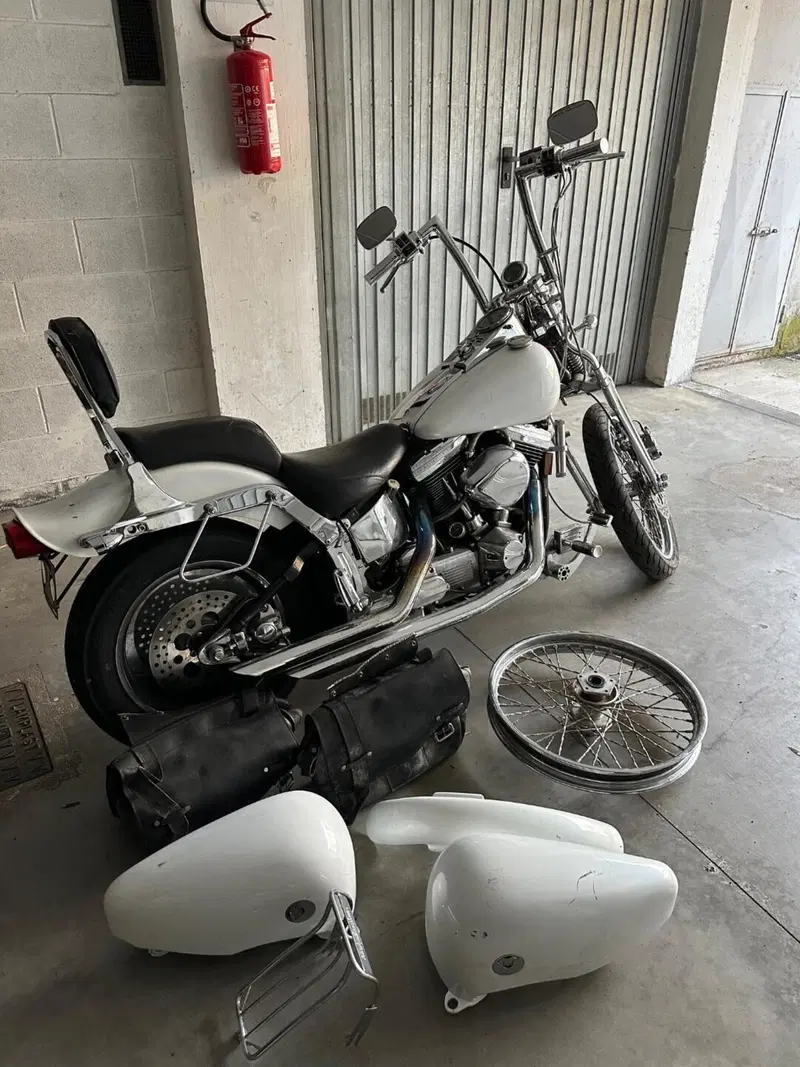 Harley-Davidson 1340 Springer (1990 - 98) - FXSTS (8)