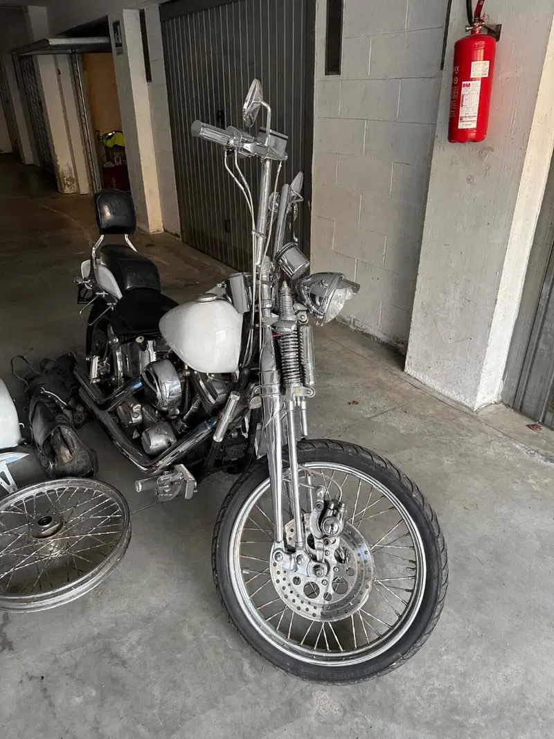 Harley-Davidson 1340 Springer (1990 - 98) - FXSTS (9)