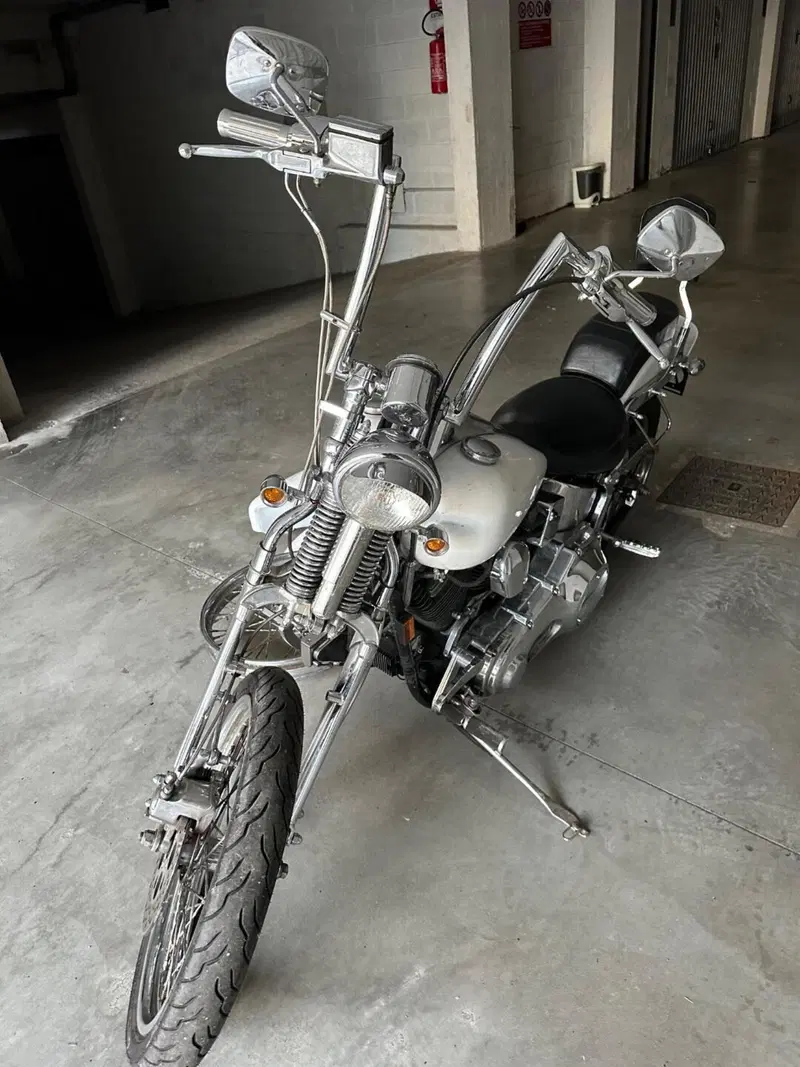 Harley-Davidson 1340 Springer (1990 - 98) - FXSTS (10)