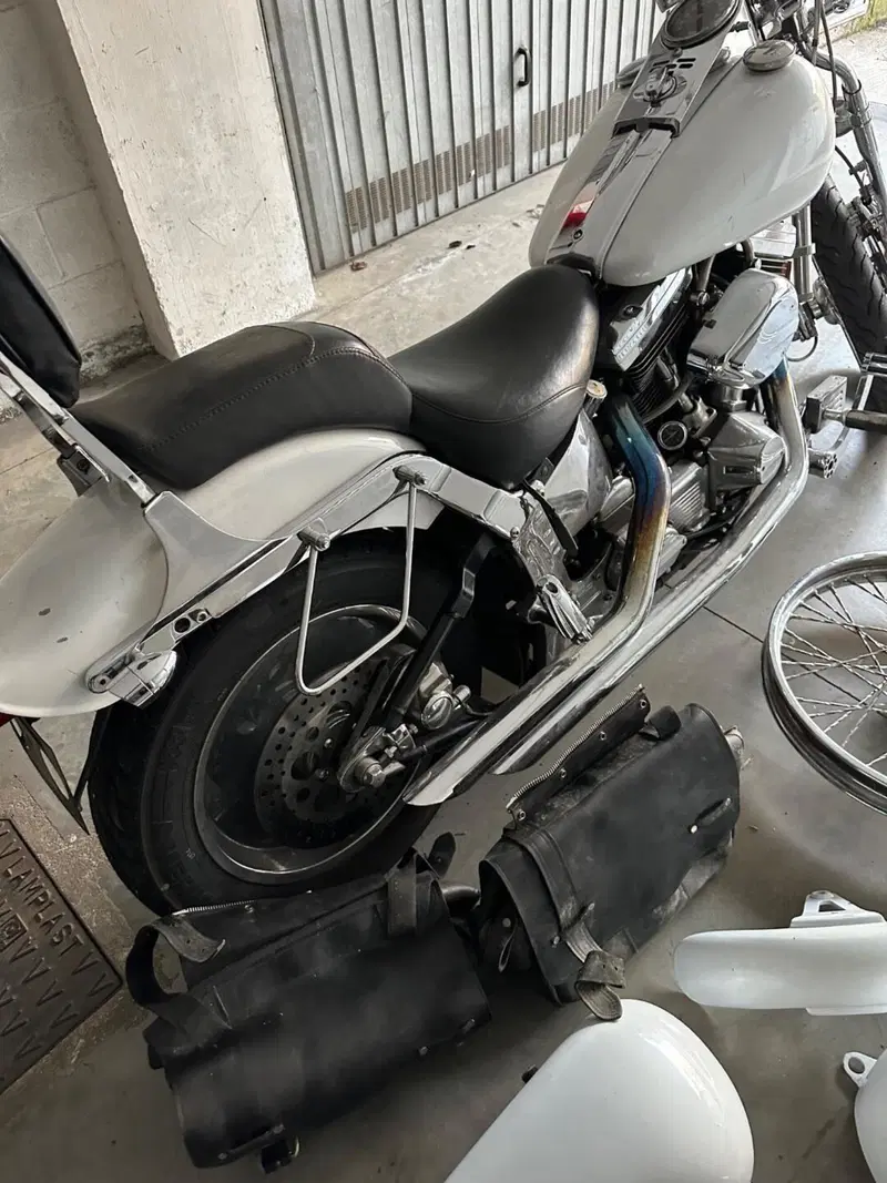Harley-Davidson 1340 Springer (1990 - 98) - FXSTS (13)