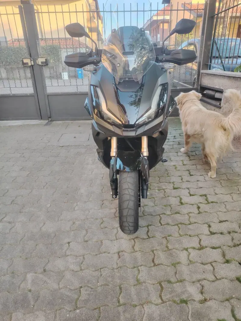 Honda ADV 350 (2022 - 24) (6)
