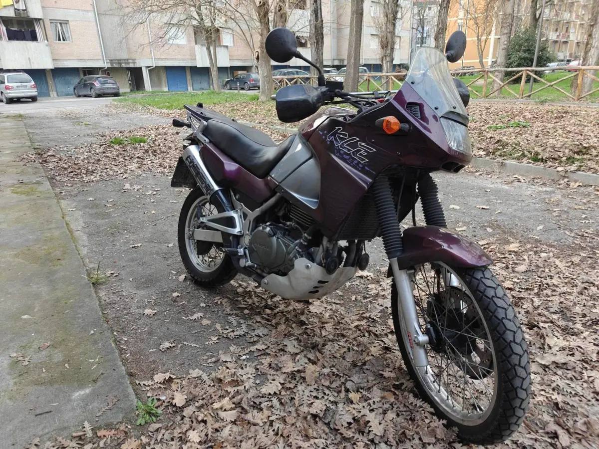 Kawasaki KLE 500 (2001 - 04)
