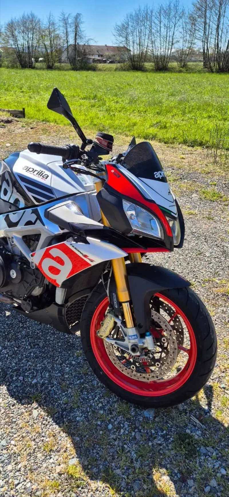 Aprilia Tuono V4 Factory (2015 - 17) (7)