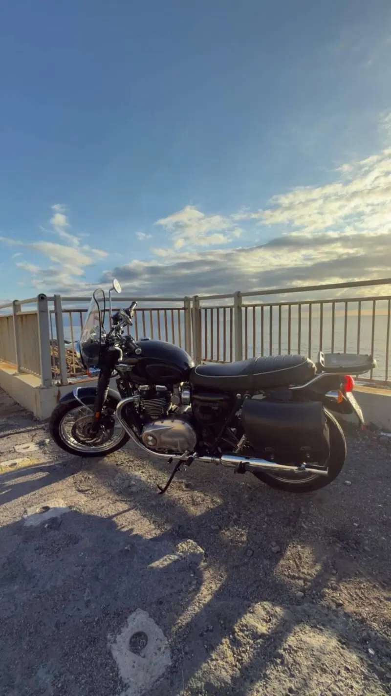 Triumph Bonneville T120 (2016 - 20) (6)