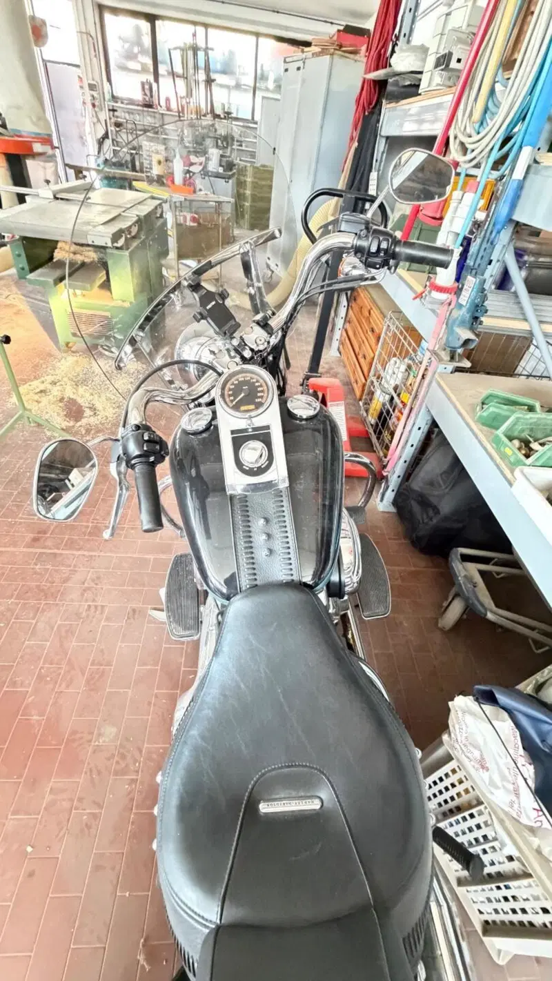 Harley-Davidson Fat Boy 114 (2021 - 24) (7)