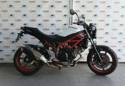 Suzuki SV650 (2021 - 24) usata