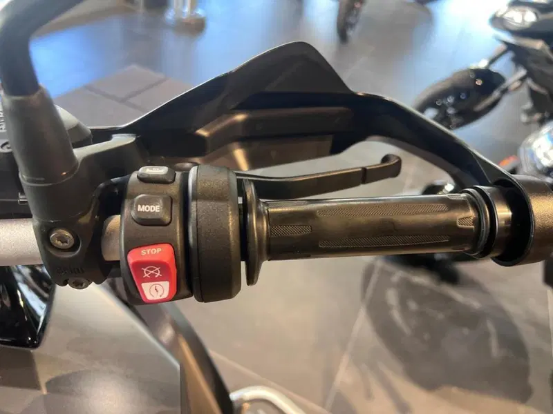 Bmw R 1250 GS (2019 - 20) (11)
