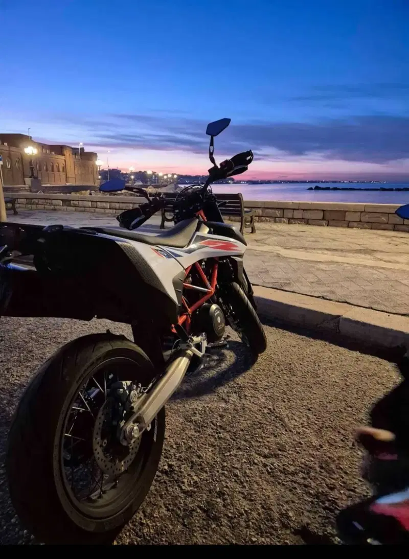 KTM 690 SMC R (2019 - 20) (6)