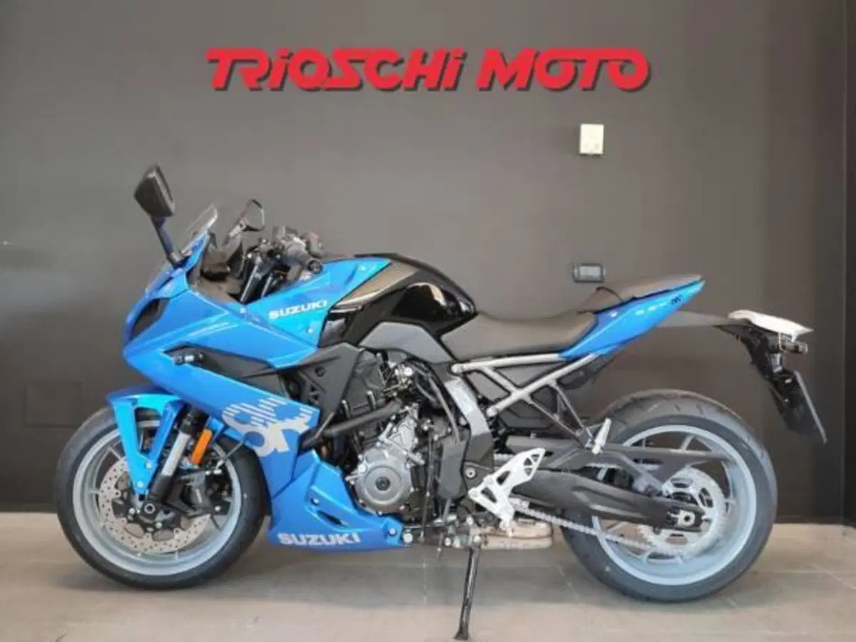 Suzuki GSX-8R (2024 - 26) (2)