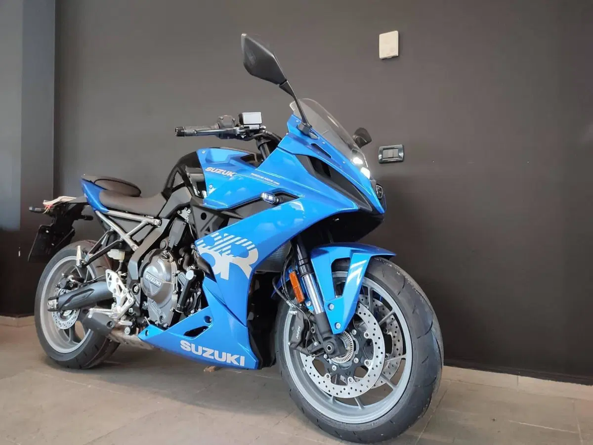 Suzuki GSX-8R (2024 - 26) (4)