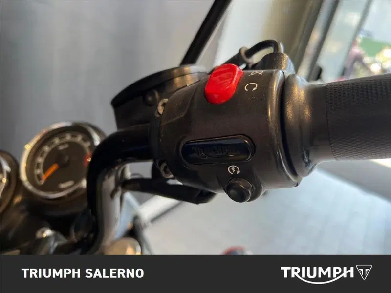 Triumph Bonneville T100 (2008 - 16) (13)