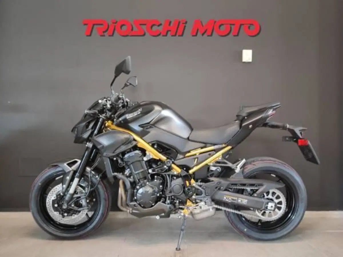 Kawasaki Z 900 (2025 - 26) (2)