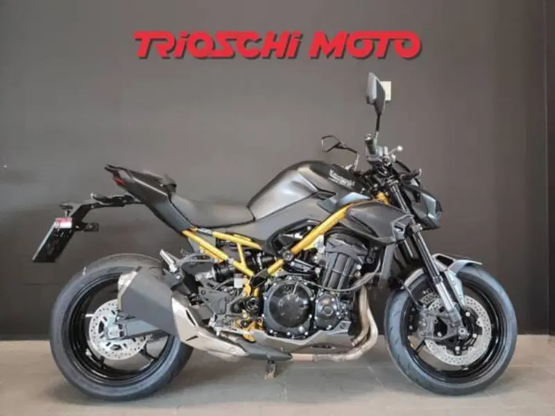 Kawasaki Z 900 (2025 - 26)