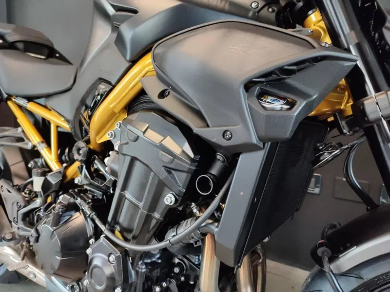 Kawasaki Z 900 (2025 - 26) (6)