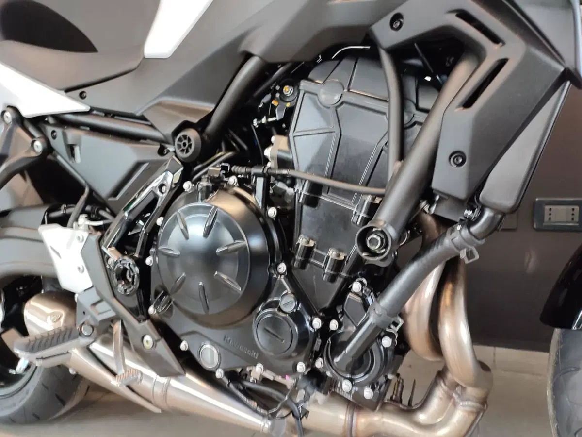 Kawasaki Z 650 (2025 - 26) (3)