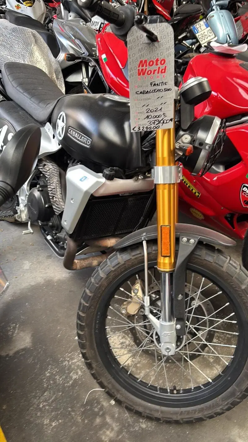 Fantic Motor Caballero 500 Flat Track (2018 - 21) (7)