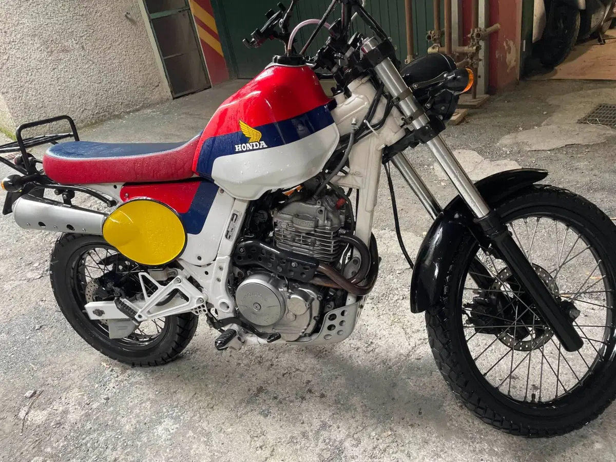 Honda Dominator