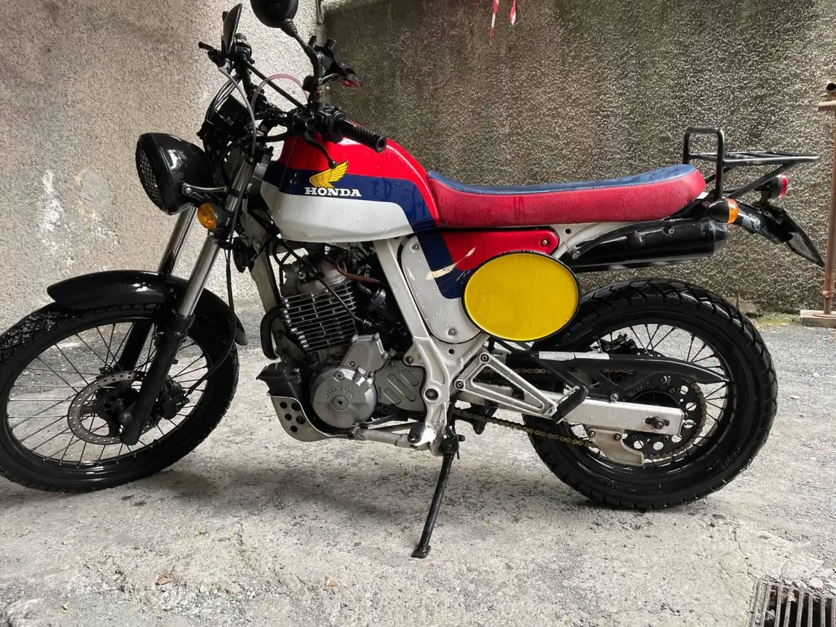 Honda Dominator (2)