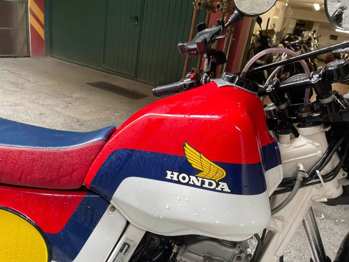 Honda Dominator (5)