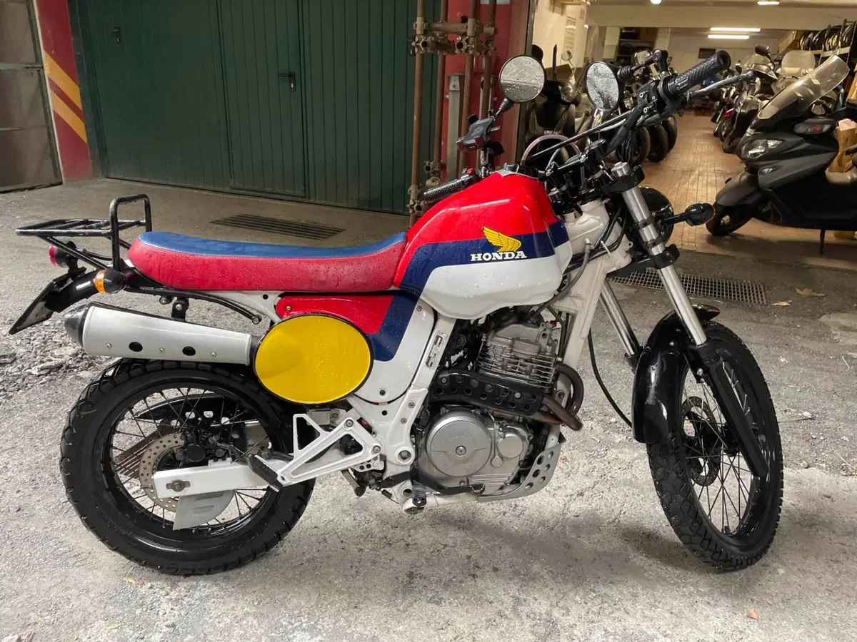 Honda Dominator (6)
