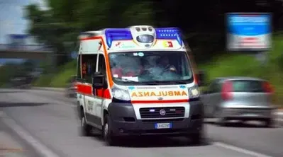 Terlizzi, schianto assurdo: scooter contro un cavallo
