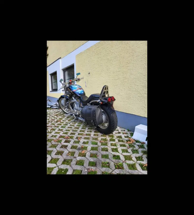 Suzuki VS 800 GL Intruder (1994 - 98) (3)