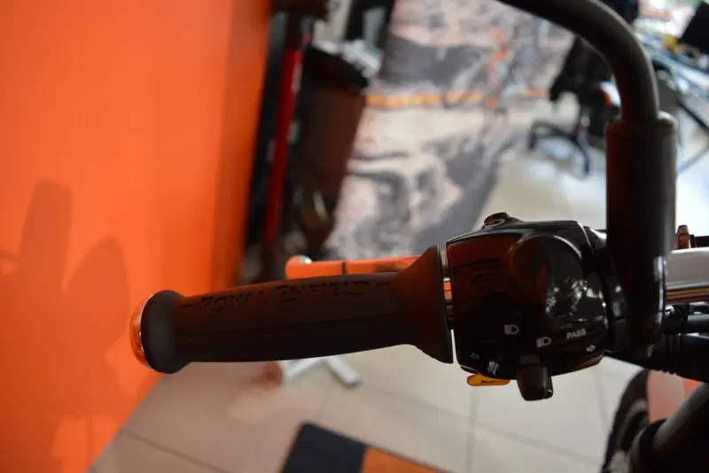 Royal Enfield Bear 650 (2025 - 26) (12)