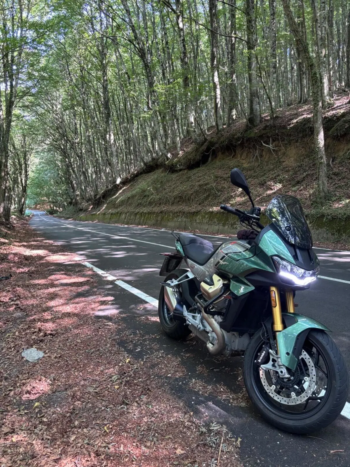 Moto Guzzi V100 Mandello S (2022 - 24) (3)