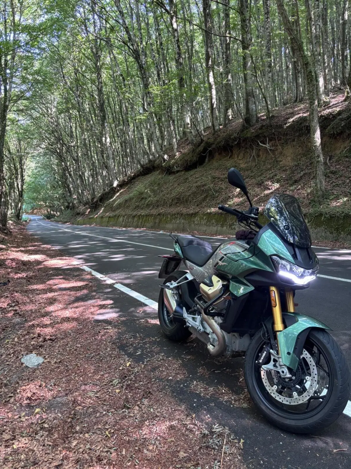 Moto Guzzi V100 Mandello S (2022 - 24) (4)