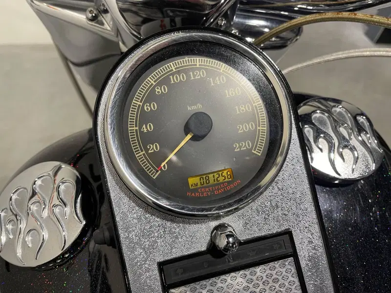 Harley-Davidson 1450 Heritage Classic (2003 - 05) - FLSTCI (9)