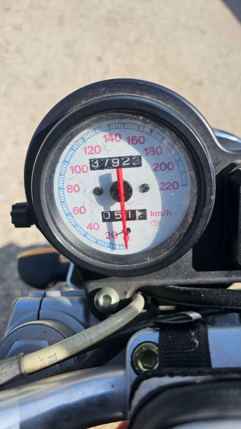 Ducati Monster 600 Dark (2002) (7)