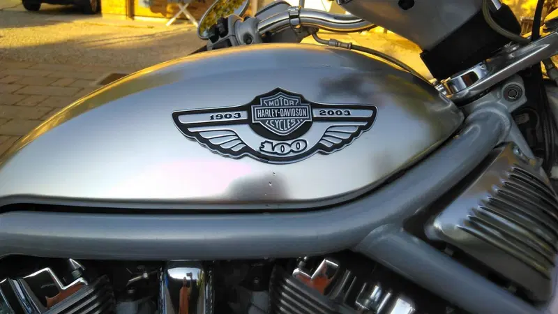 Harley-Davidson 1130 V-Rod (2002 - 05) - VRSCA (9)