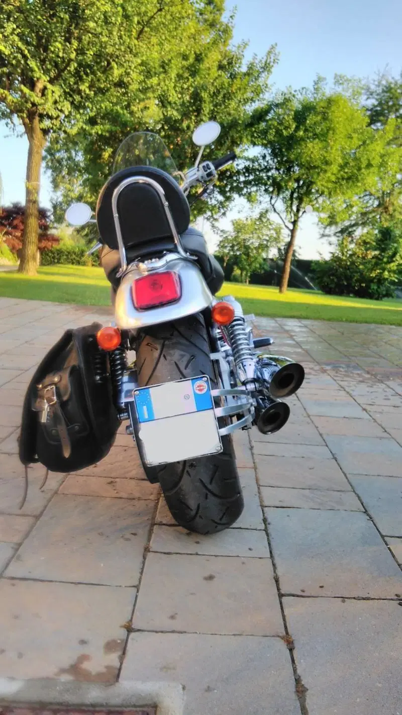 Harley-Davidson 1130 V-Rod (2002 - 05) - VRSCA (10)