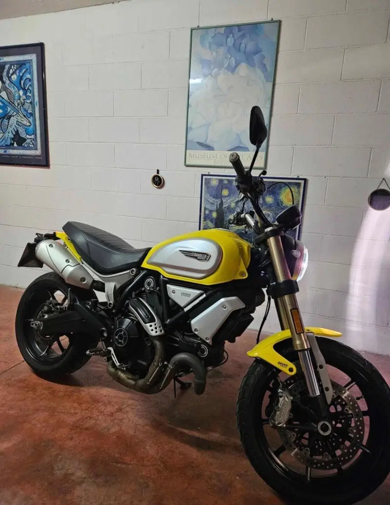 Ducati Scrambler 1100 Sport (2018 - 20) (7)