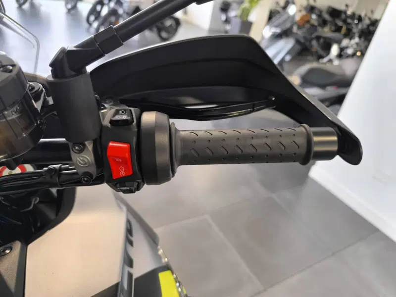 Moto Guzzi Stelvio PFF (2024 - 26) (4)