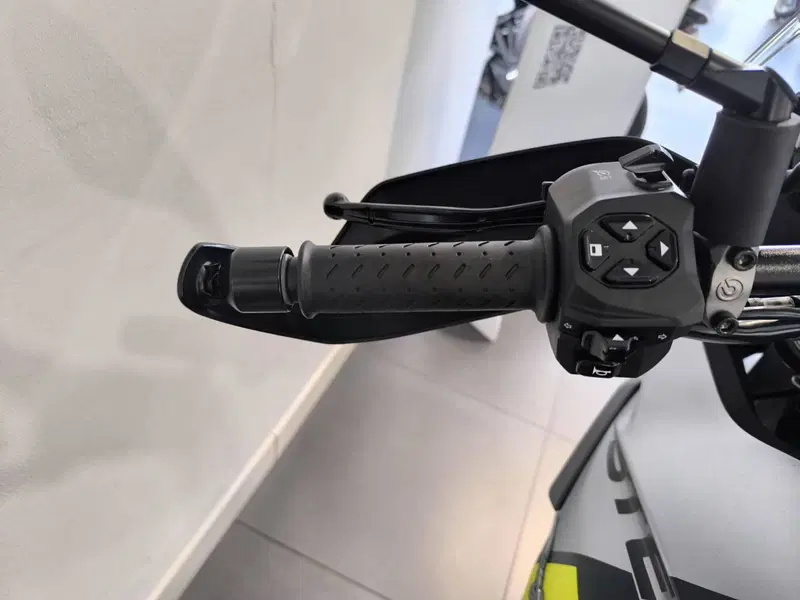 Moto Guzzi Stelvio PFF (2024 - 26) (8)