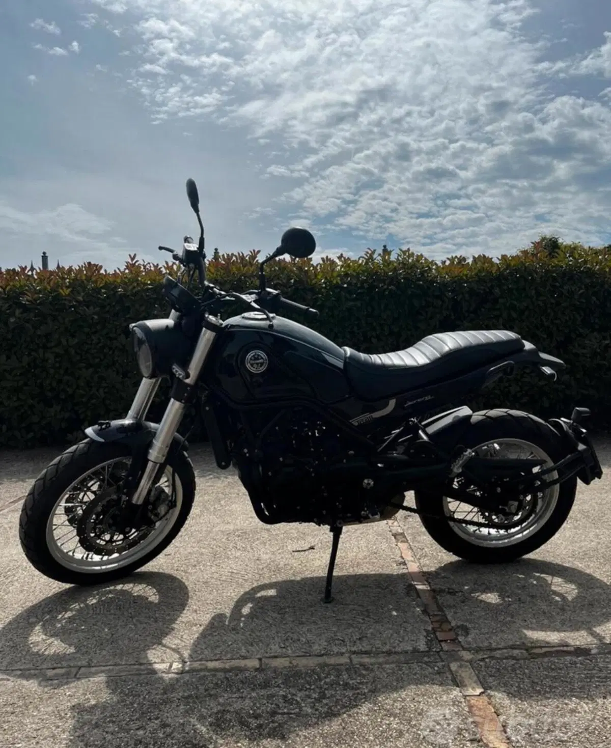 Benelli Leoncino 500 Trail (2021 - 26) (3)