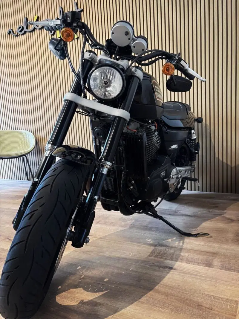 Harley-Davidson 1200 XR (2009 - 12) (2)