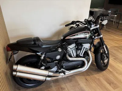Harley-Davidson 1200 XR (2009 - 12) usata