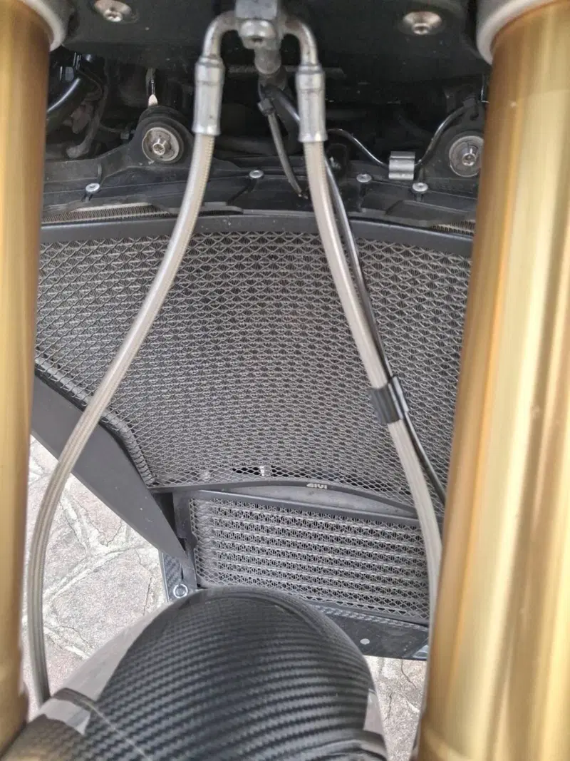 Bmw S 1000 XR (2017 - 19) (15)