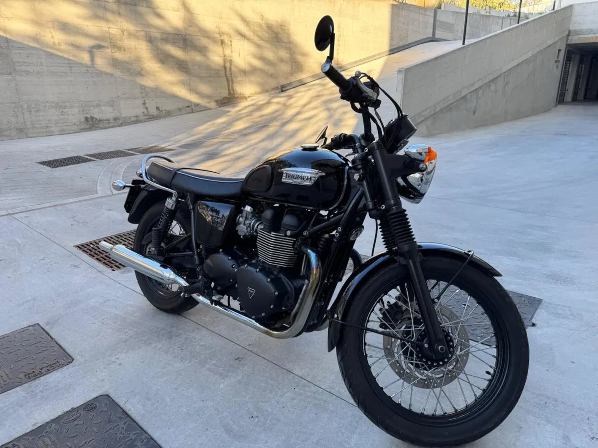 Triumph Bonneville T100 (2008 - 16) (3)