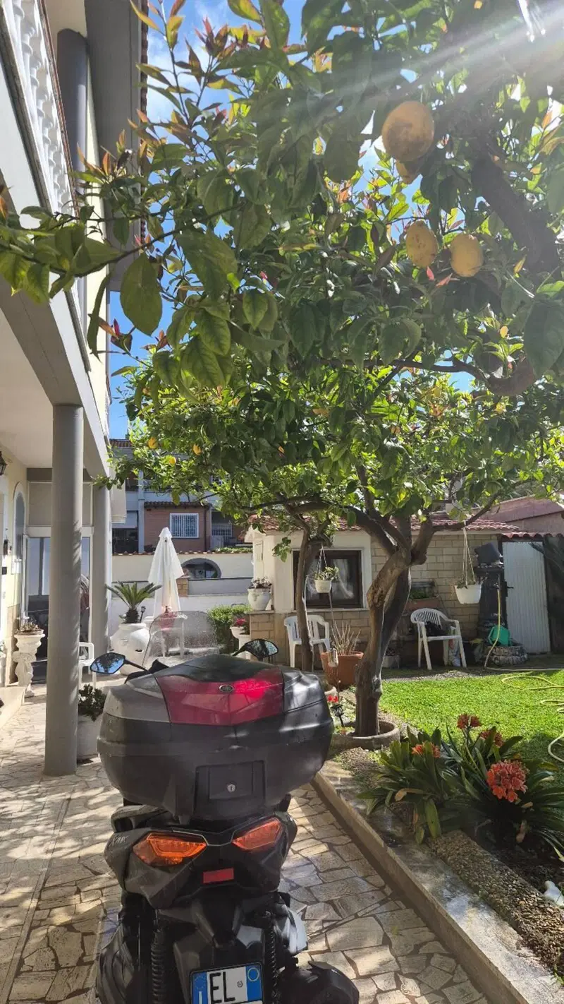 Yamaha X-Max 400 ABS (2017 - 20) (4)