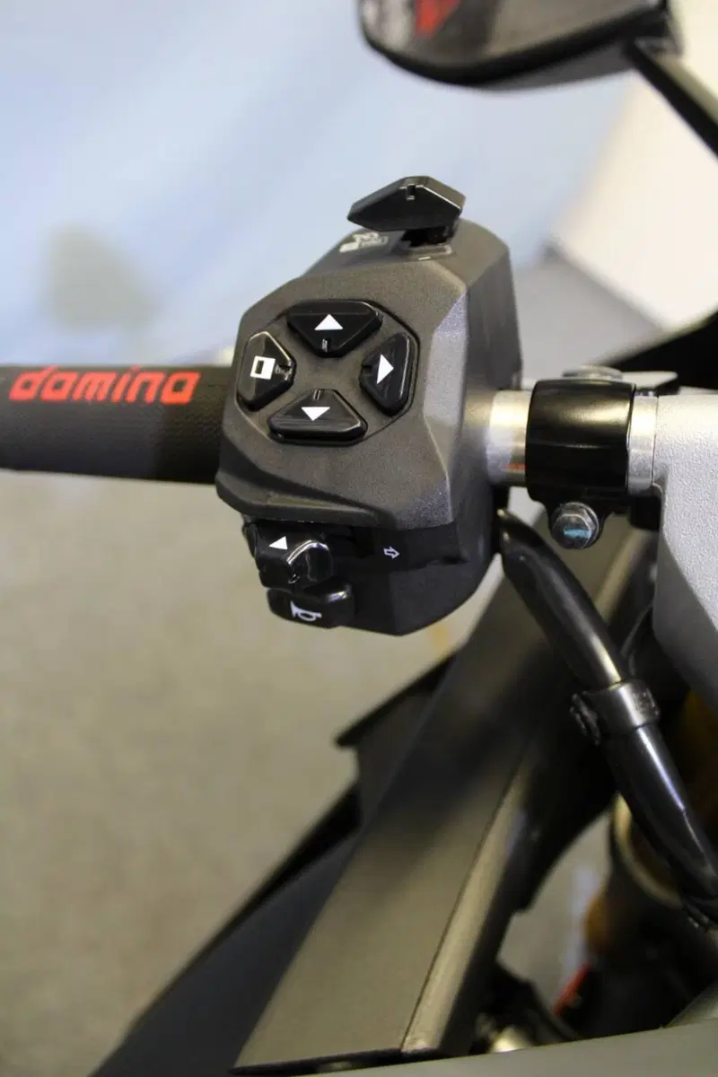 Aprilia RS 660 (2020 - 24) (10)