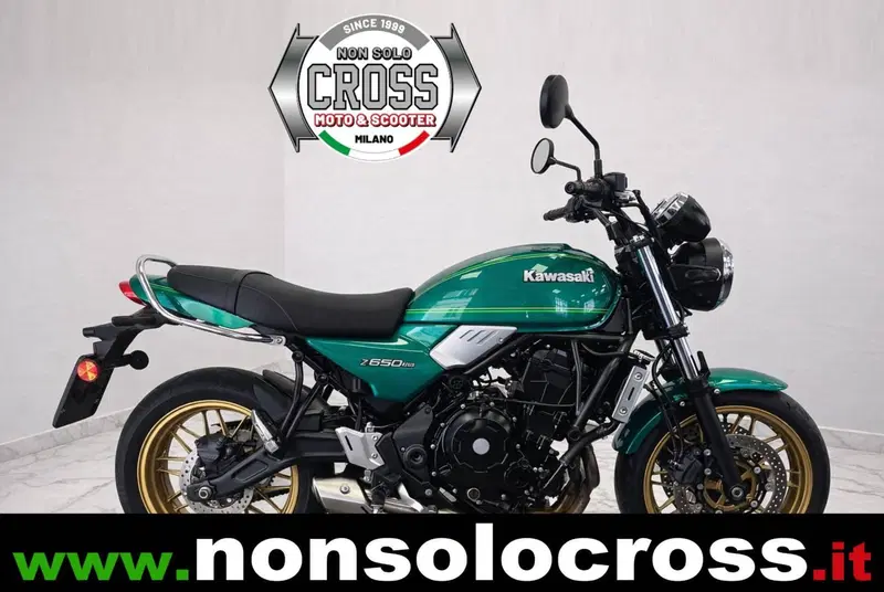 Kawasaki Z 650 RS (2022 - 24)