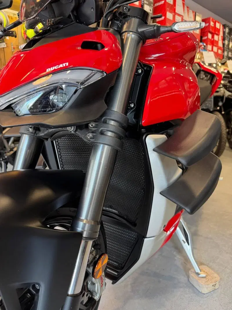 Ducati Streetfighter V4 1100 (2021 - 22) (4)