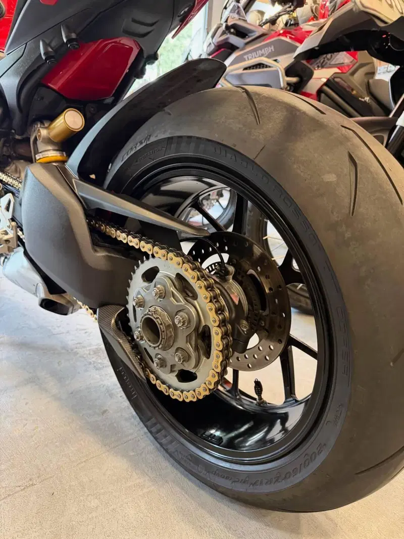 Ducati Streetfighter V4 1100 (2021 - 22) (14)