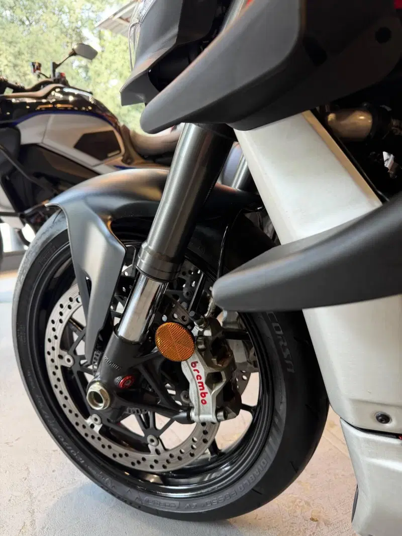 Ducati Streetfighter V4 1100 (2021 - 22) (19)